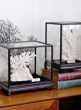 真珊瑚标本新中式客厅摆件