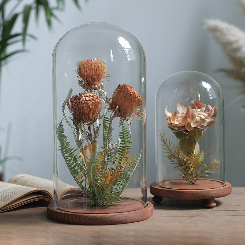 植物标本干花花艺摆件家居创意花瓶软装样板间书房橱窗展示台陈列