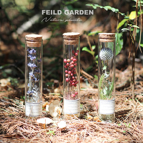 生日试管礼物许愿瓶伴手礼