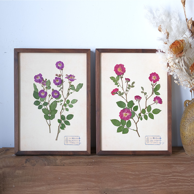 玫瑰花植物标本干花相框