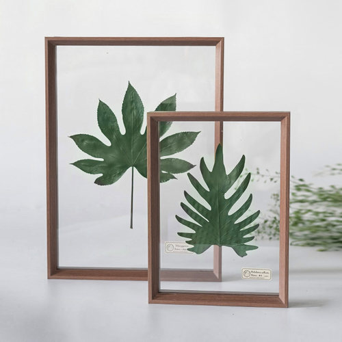 野地花园植物标本装饰画