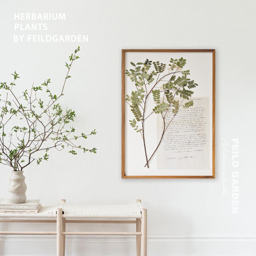 简约法式复古欧式中古植物标本