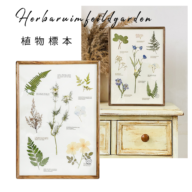 原创手作标本植物干花画框伴手礼