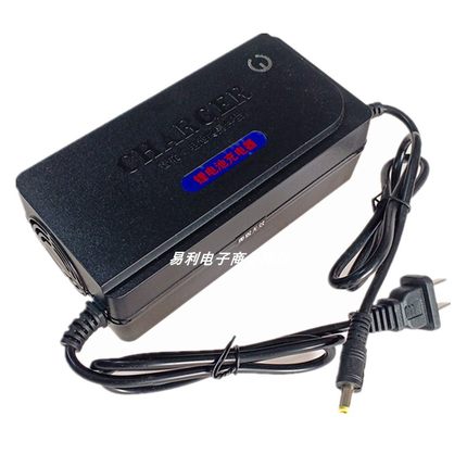 12V4A6A8A锂电池一体机充电器户外手电钻平衡车智能快充充满变灯