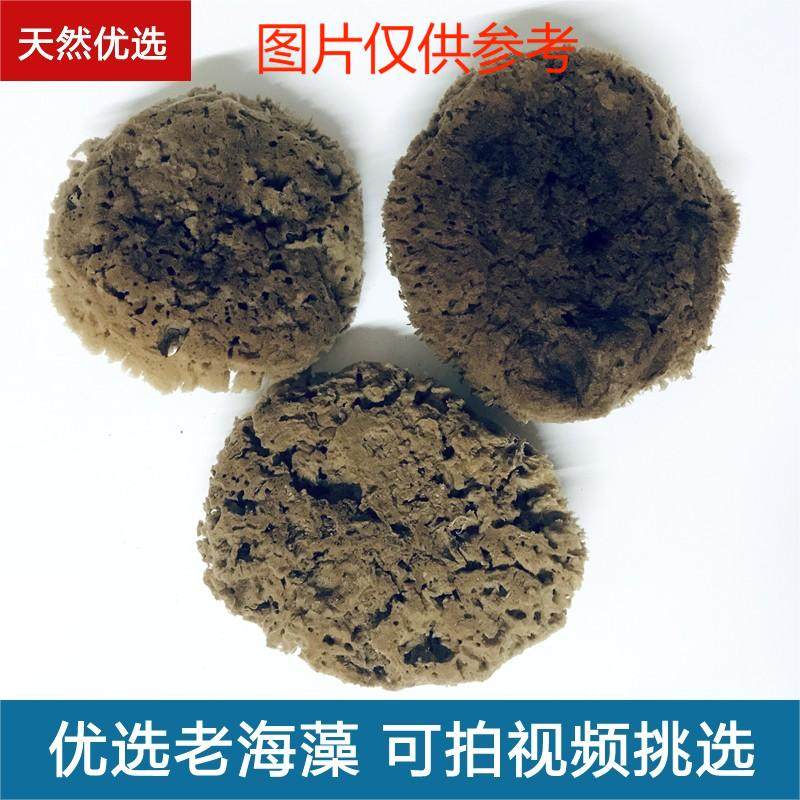 希腊进口天然海藻绵珠光艺术印花