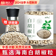 椒达人白胡椒粒研磨器白胡椒粉家用调味料海南纯正白胡椒特产胡椒