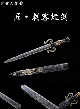 新疆包邮龙泉收藏宝剑刺