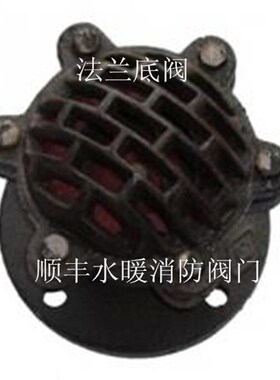 H42X -6法兰底阀 水泵头 水泵花篮 抽水吸水底阀 污水处理底阀
