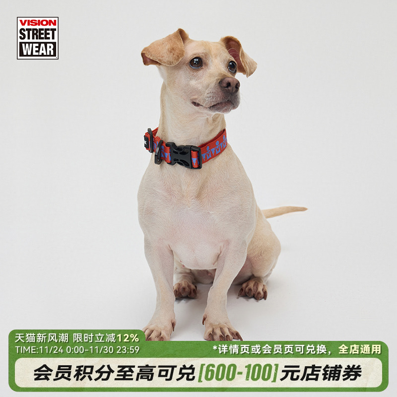 VISIONSTREETWEARVISION