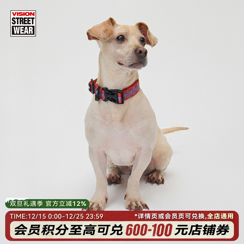 VISIONSTREETWEARVISION