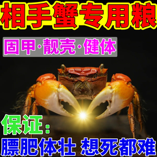 相手蟹饲料迷你沙蟹将军恶魔寄居蟹辣椒蟹观赏宠物高钙蛋白专用粮