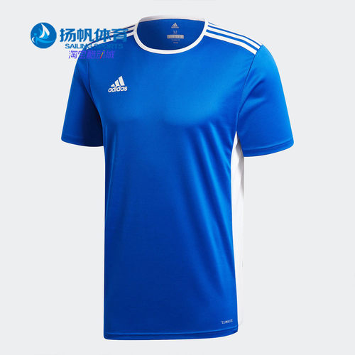 Adidas/阿迪达斯正品男子运动T恤