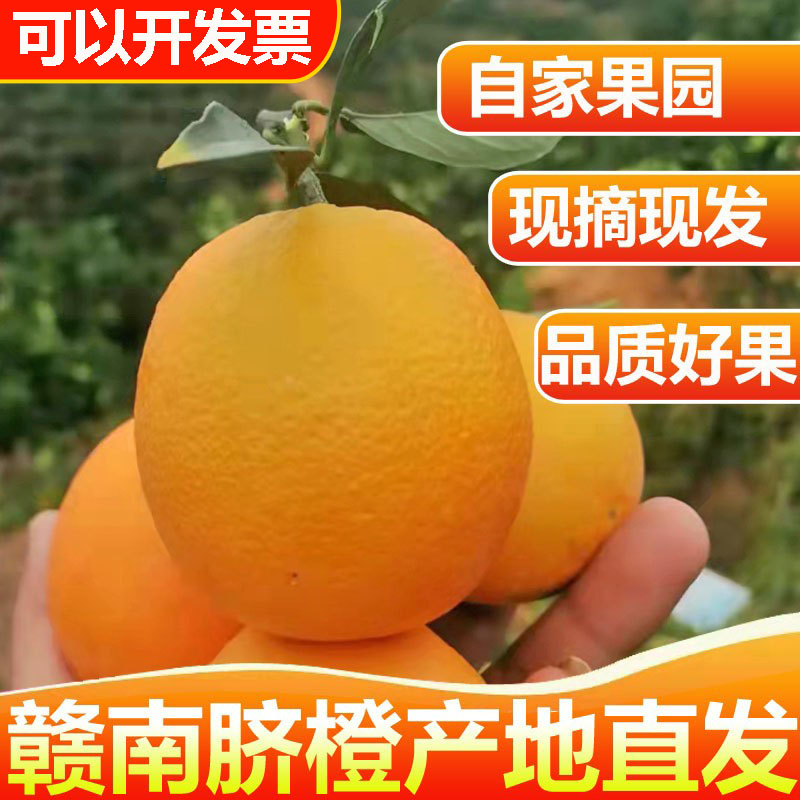 正宗江西赣南赣州脐橙产地直发