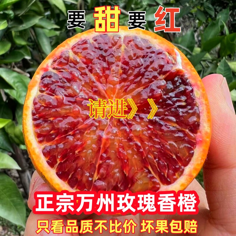 重庆血橙万州玫瑰香橙当季新鲜水橙