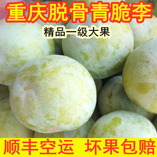 重庆巫山脆李脱骨李子新鲜水果四川空心青脆李蜂糖甜5斤顺丰空运