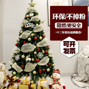 圣诞树家用小型加密套餐网红高级感圣诞节装 2024新款 饰ins风摆件