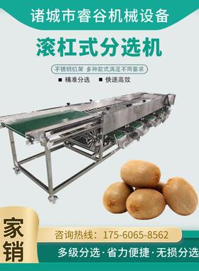 机选果设备大蒜筛选机器小型水果分选机冰糖橙选果机桂圆分级