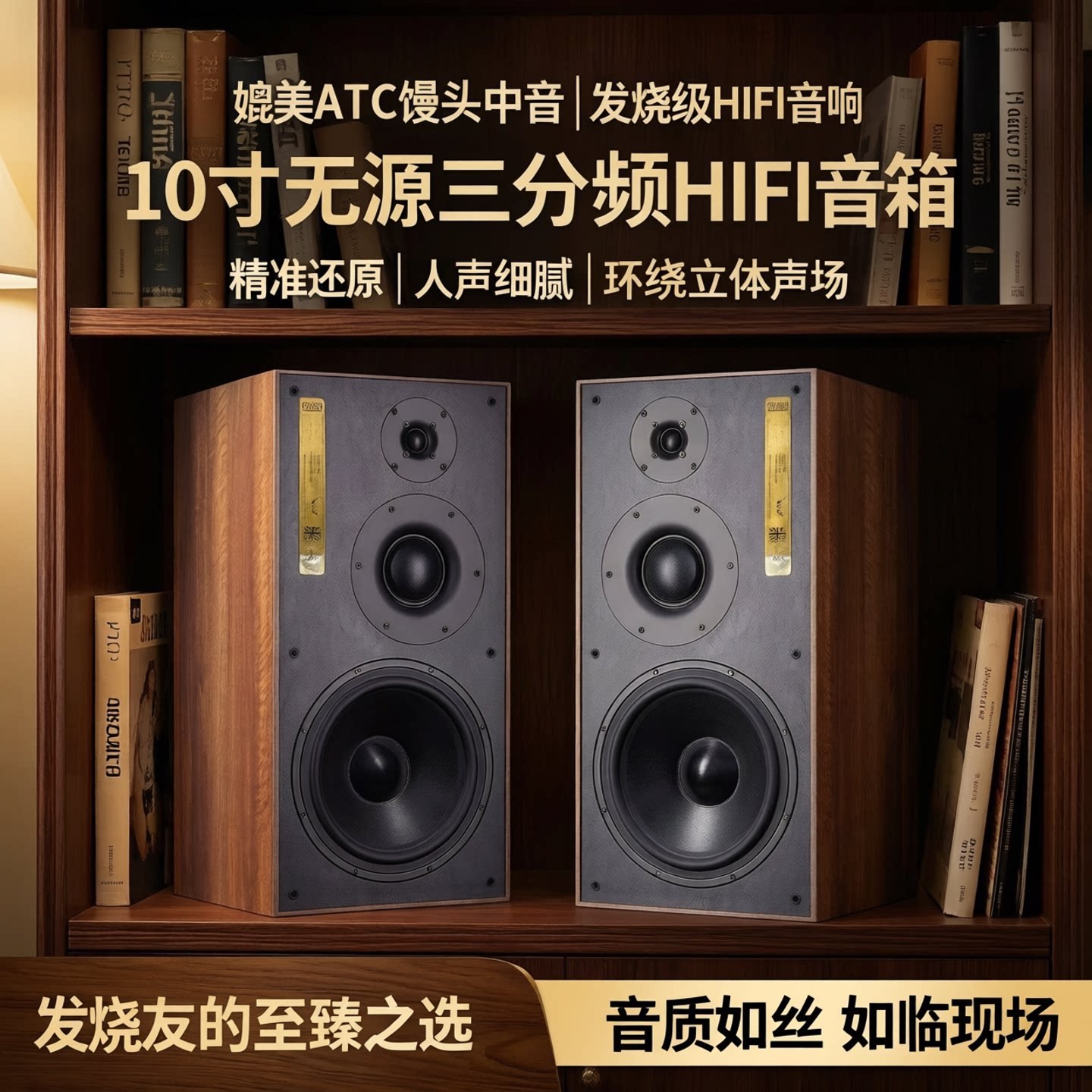 媲美ATC馒头中音 发烧级音箱10寸三分频HIFI音箱十寸无源家用音响