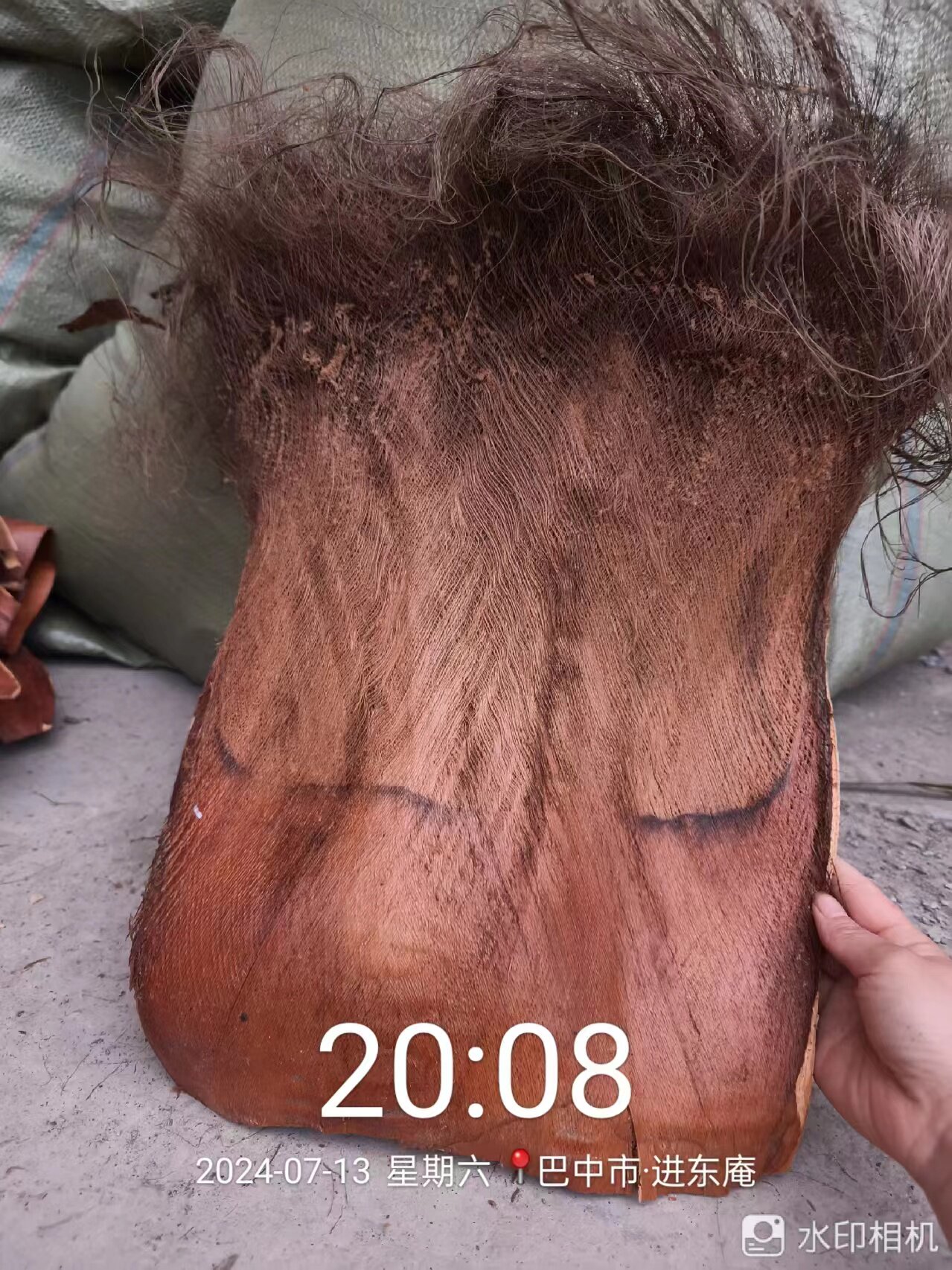 棕片棕树皮棕毛棕丝山棕绿萝棒棕榈皮棕榈丝棕皮装饰棕垫50斤