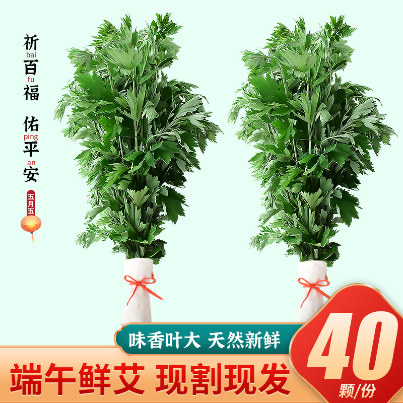 端午新鲜艾草叶挂门上艾叶花束