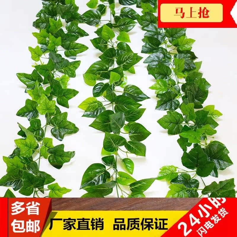 Simulation cane money plant leaf fake ivy plant package在類目 家居飾品, 花瓶/花器/仿真花/仿真飾品, 仿真花/假花中 - 來自Buy2taobao.com提供專業的淘寶代購服務