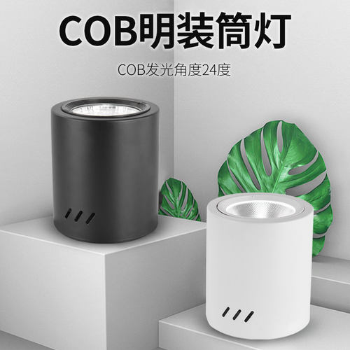 12W20W30W节能筒灯专卖店工作室