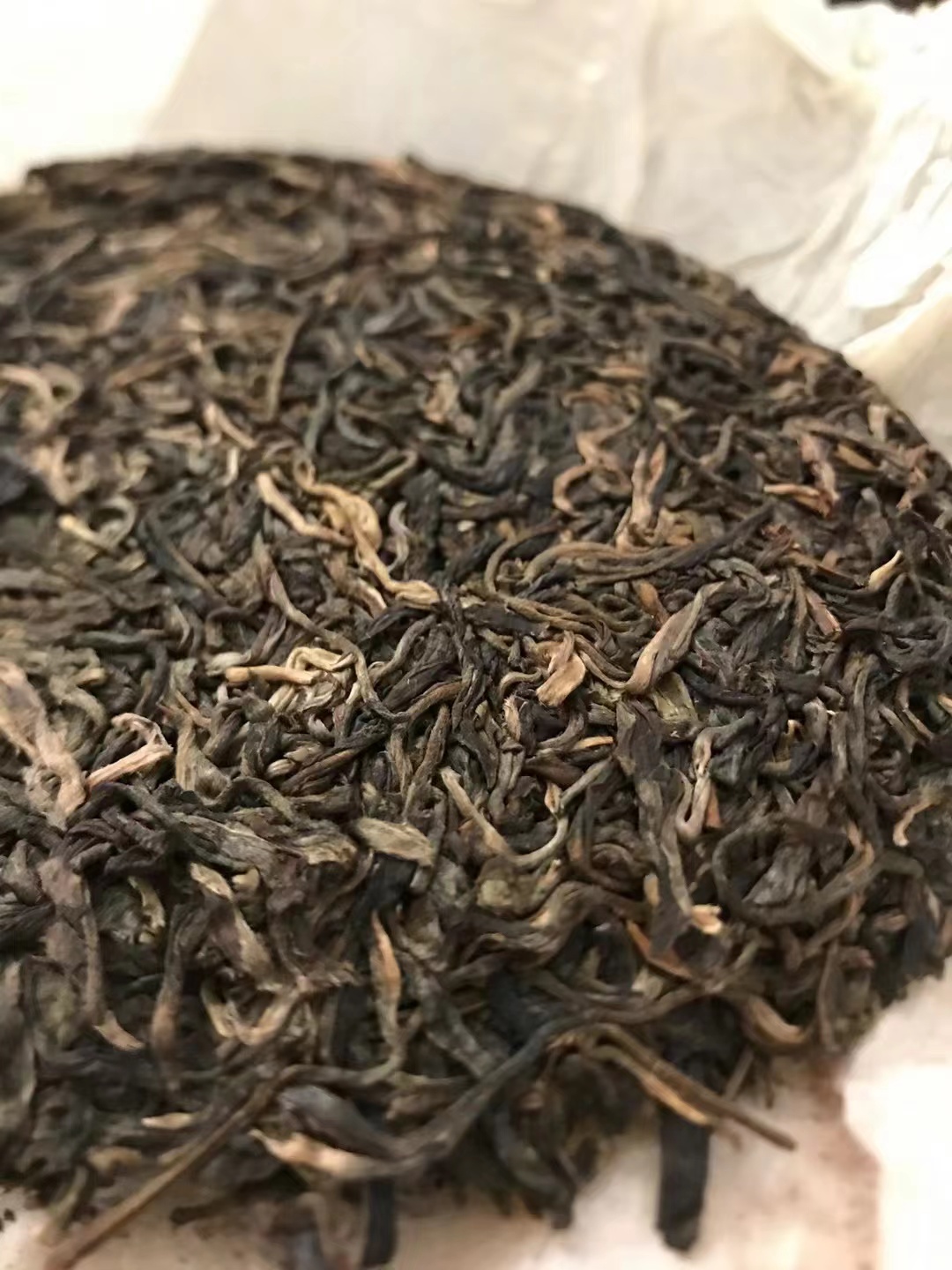 2003年困鹿山 普洱茶生茶 品鉴装8g/泡茗成博润 茶 普洱 原图主图