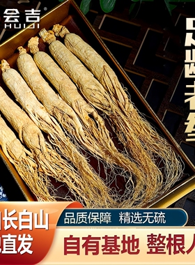 人参长白山非野山参正品整枝干人参泡酒专用生晒人参干货特产礼盒