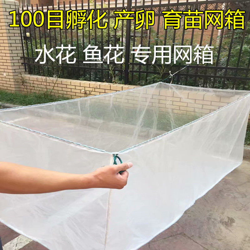 100目渔网 养殖 黄鳝 泥鳅 水蛭催产孵卵用专用网箱育苗用 网箱