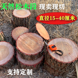 松木树墩天然树桩木墩松树木段实木敦子原木头子木根木头桩