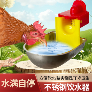 家禽养鸡用自动饮水器鸡饮水碗鸽子喝水壶鹌鹑鸟芦丁鸡喂小鸡神器