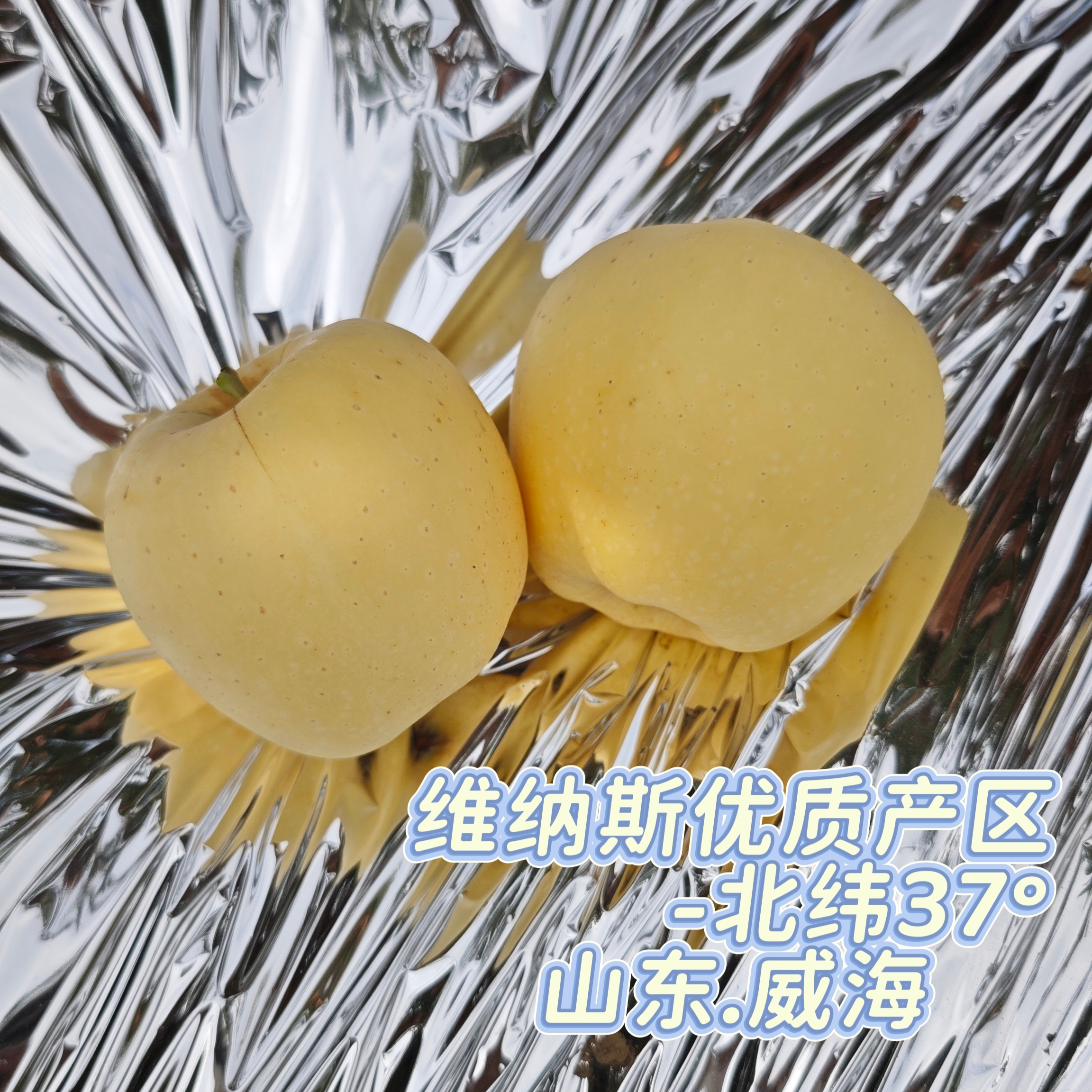 山东威海产地直发明月水蜜桃苹果维纳斯苹果合集非奶油富士