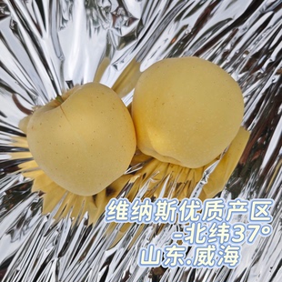 山东威海产地直发明月水蜜桃苹果维纳斯苹果合集非奶油富士