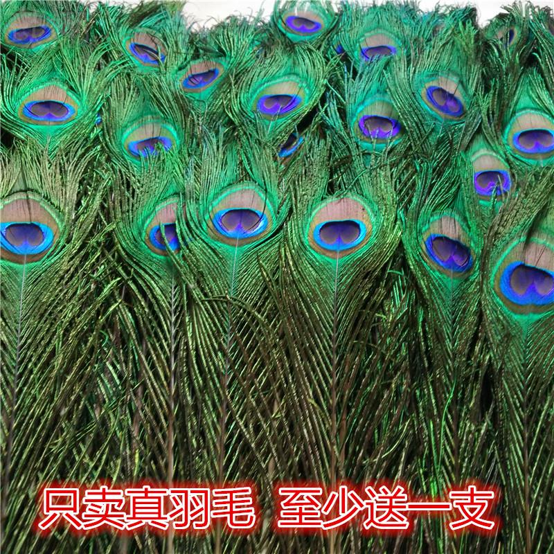 diy真孔雀羽毛家居摆 设客厅花瓶装饰进翎 口孔雀尾