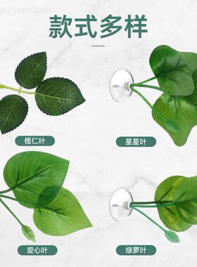 斗鱼休息躲避叶产卵叶仿真水草绿