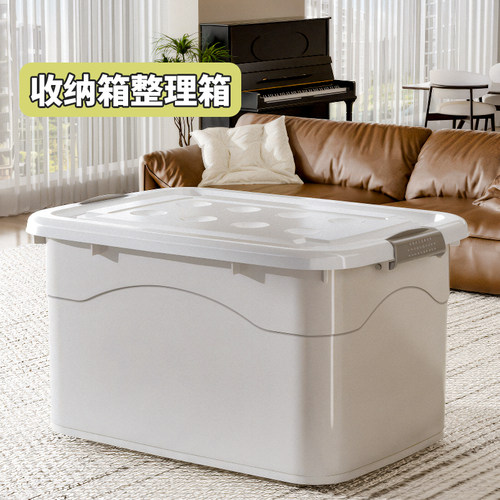 好居乐极光白小尺寸收纳箱