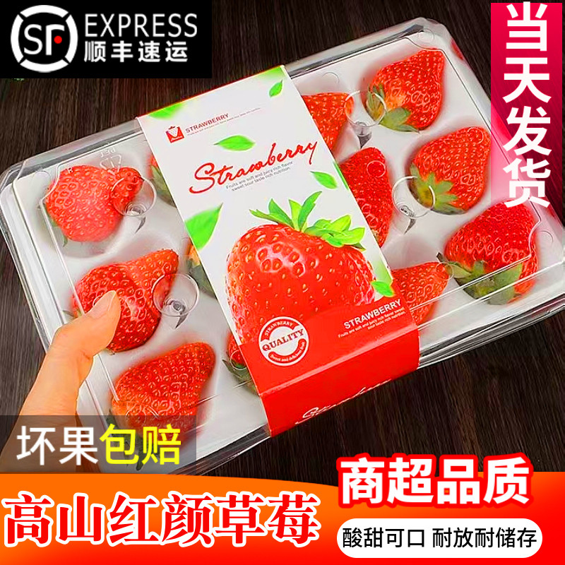 当季高山红颜草莓新鲜水果现摘现发孕妇水果双流冬草莓顺丰包邮