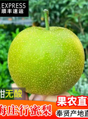上海奉贤庄行蜜梨顺丰包邮