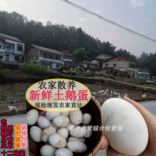 鲜鹅蛋散养食用土鹅蛋