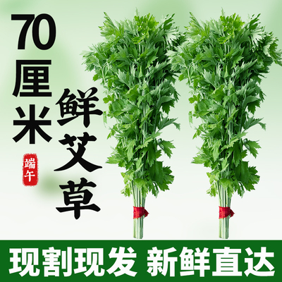 端午节新鲜艾草花束花环挂门窗