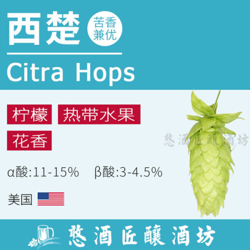 西楚citra酒花【果香浓郁】