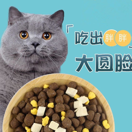 奶糕幼猫成猫憨仕包子脸