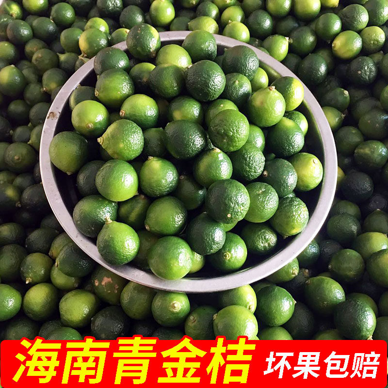 海南青金桔 小青桔皮薄多汁水果新鲜青柠檬当季小金桔金桔子青橘