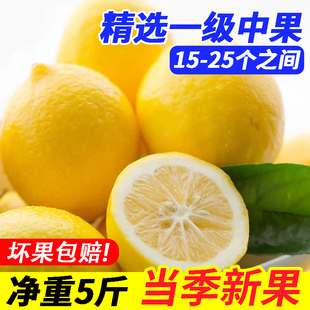 25个皮薄多汁5斤装 安岳一级黄柠檬水果15 柠檬新鲜 精选一级