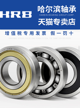 HRB 哈尔滨轴承 6016 Z ZZ 2Z RZ 2RZ RS 2RS ZR E 总厂85*125*22