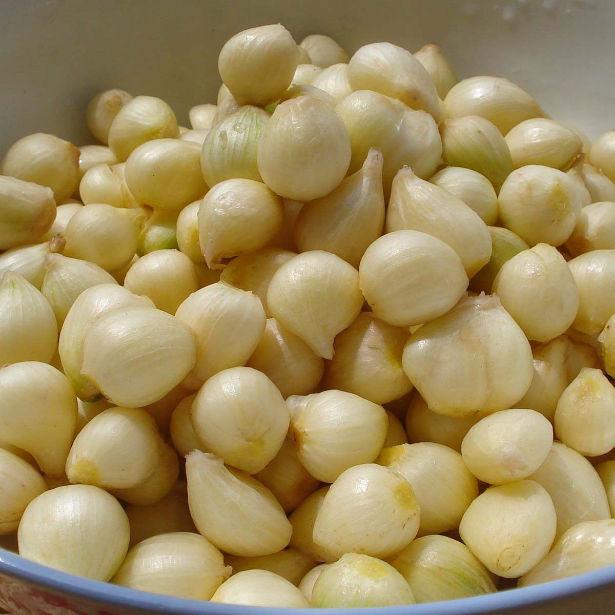 四川特产新鲜苦藠苦介苦芥团葱野葱农家自种小蒜薤白夏季煨猪肚