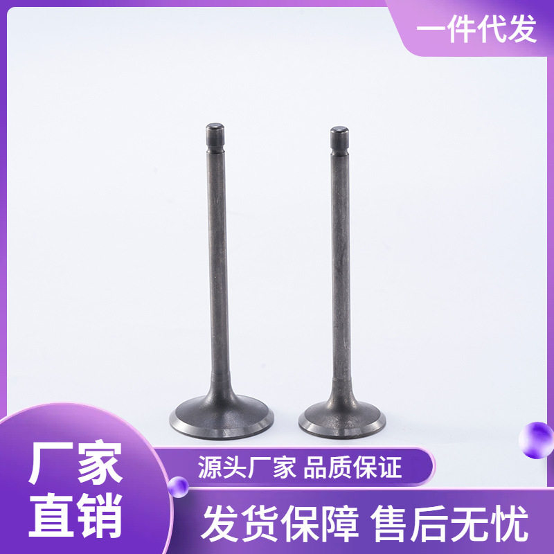 适用骑式摩托车发动机机头配件缸头气门 CG200气门杆
