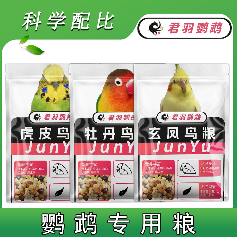 君羽鹦鹉美毛亮羽鸟粮食营养全面