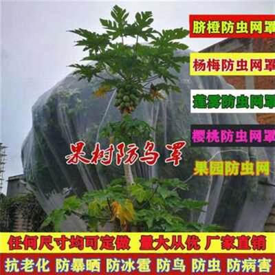 爆防虫网防蚊防虫网棚果果园场养殖猪大L加厚花卉蔬菜农用蝇家品