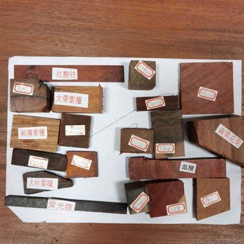 各种名贵木材识别国标红木进口硬木实木木材碎料鉴别分类检验标本